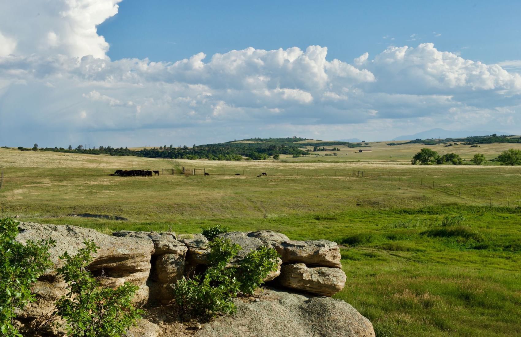 CONSERVATION EASEMENT Prairie Canyon Ranch